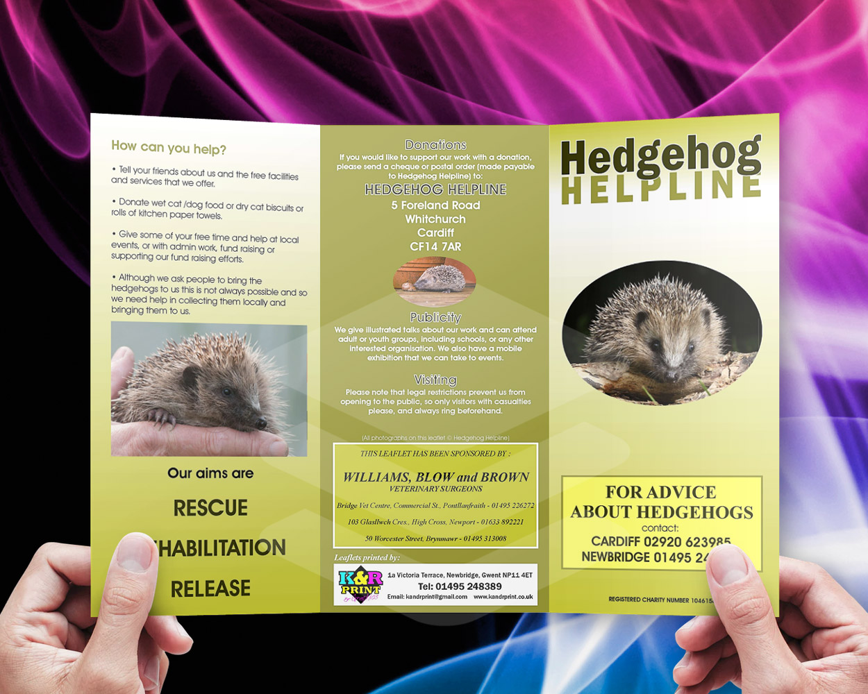 Hedgehog Helpline leaflets